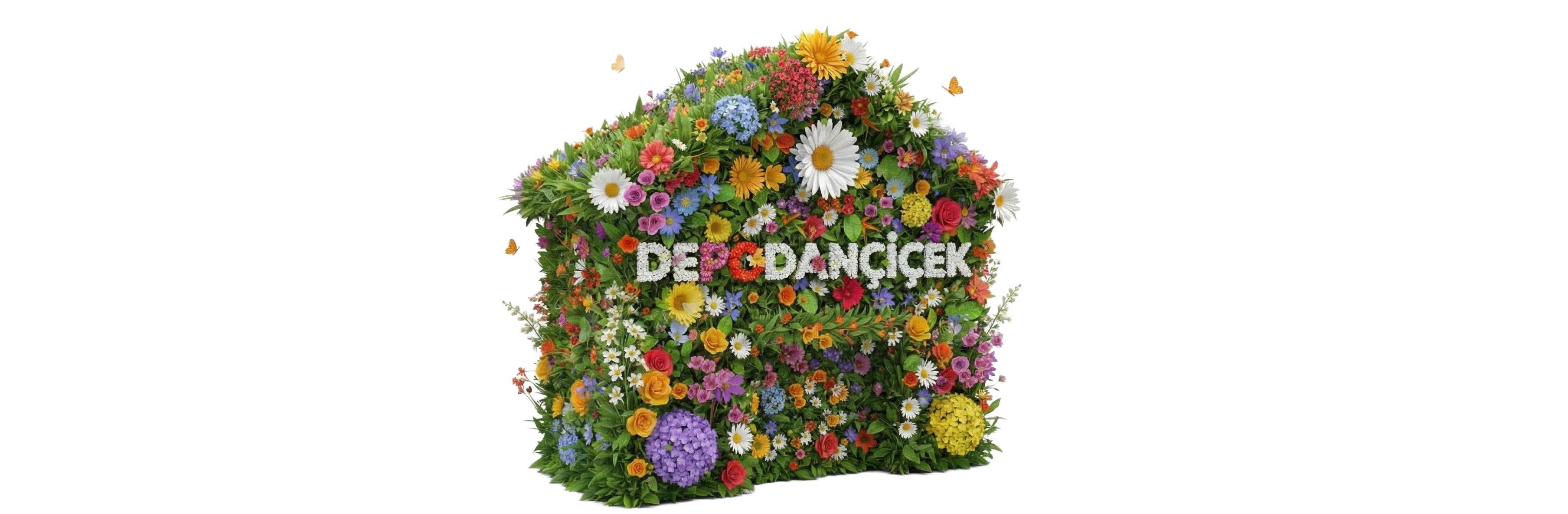 Hakkımızda Hakkımızda