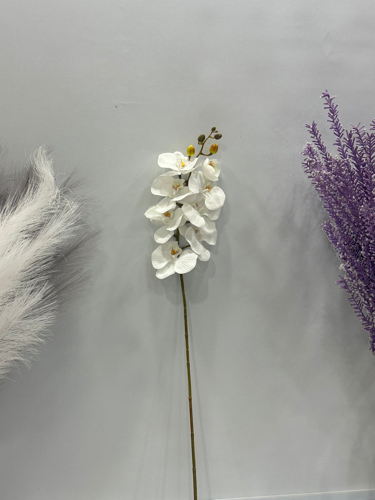 BEYAZ ORKİDE YAPAY 8 KAFALI 75 CM BOY BEYAZ ORKİDE YAPAY 8 KAFALI 75 CM BOY