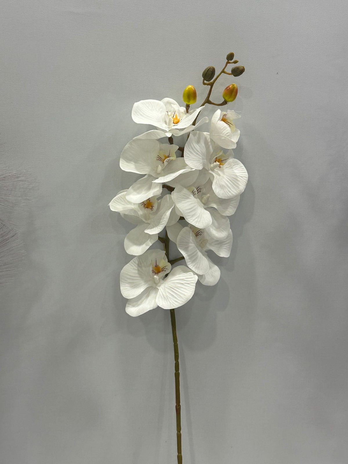 BEYAZ ORKİDE YAPAY 8 KAFALI 75 CM BOY BEYAZ ORKİDE YAPAY 8 KAFALI 75 CM BOY