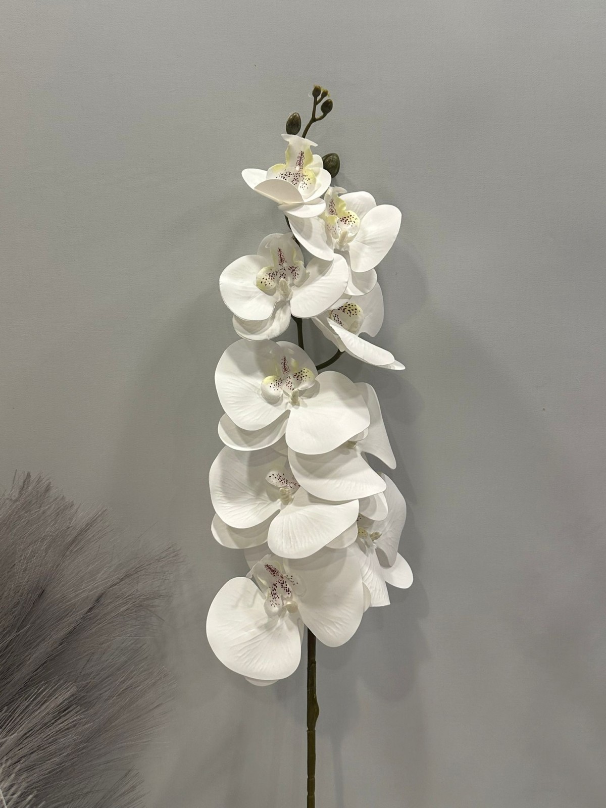 ISLAK DOKULU BEYAZ ORKİDE YAPAY 9 KAFALI 1 METRE UZUNLUK ISLAK DOKULU BEYAZ ORKİDE YAPAY 9 KAFALI 1 METRE UZUNLUK
